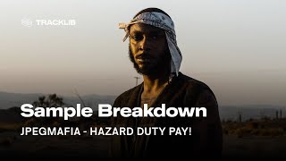 Sample Breakdown JPEGMAFIA  HAZARD DUTY PAY [upl. by Arv]