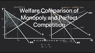 Welfare Comparison of Monopoly and Perfect Competition [upl. by Eniluj]