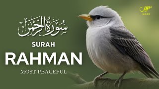 Experience the Beauty of Surah Rahman سورة الرحمن  NOOR [upl. by Napier880]