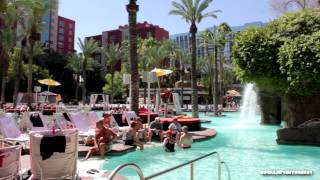 Tour of Flamingo GO Pool  Flamingo Las Vegas  HD [upl. by Duster654]