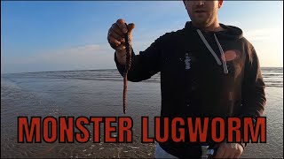 How to Pump BIG lugworm [upl. by Deeas491]