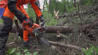 Trabajar con Motosierras Desrame Tensión en las ramas  Vídeo 22 [upl. by Kramal]