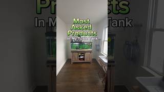 Best Products For Turtle Tank Setups reptiles petturtle turtletank [upl. by Enilekcaj747]