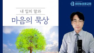 하루 10분 말씀묵상 마태복음 251619 김정민목사낙심을 극복하는 믿음2 [upl. by Lynden]