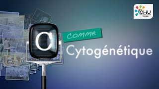 C  Cytogénétique par le Pr Catherine Yardin [upl. by Bourne]