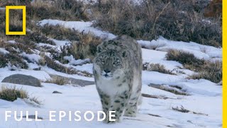 Mountains Full Episode  Hostile Planet [upl. by Humph27]