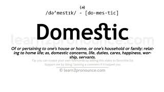 Pronunciation of Domestic  Definition of Domestic [upl. by Yramesor449]