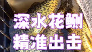 🔴青石路亚钓鱼日志 深秋、深水、“永远追追追”，精准打击花鰂鱼 Deep Water Crappie Fishing [upl. by Redmund2]