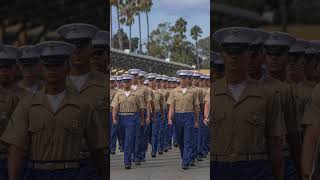 MCRD San Diego Fox Company Graduation Photos Sep 20 2024 [upl. by Annaeg]