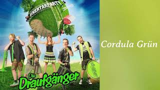 Cordula Grün HektarParty Album Die Draufgänger  Cover Dorfjunge2018 [upl. by Gannon]