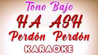 HAASH  Perdón Perdón  KARAOKE  TONO BAJO [upl. by Dennet]