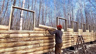 Building A Big Log Cabin In The Woods Alone Framing In The Remaining Windows [upl. by Nahsad503]