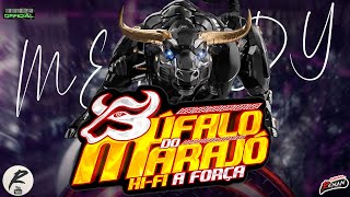 BÚFALO DO MARAJÓ HIFI A FORÇA O RETORNO [upl. by Suolkcin]