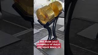 330 lbs dumbbells at Venice Beach Golds Gym strength power goldsgym venicebeach venice [upl. by Fry]