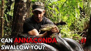 What If You Swallowed By an Anaconda [upl. by Sisco]