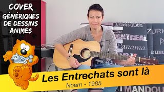 Les Entrechats Cover guitare acoustique [upl. by Ensoll]