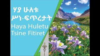 ሃያ ሁለቱ ሥነፍጥረታትHaya Huletu Tsine Fitiretat ከመምህር ዶር ዘበነ ለማ [upl. by Nessa]