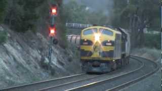 MickFix Rail  Australian Trains  9162 El Zorro Grain Train Friday 18th May 2012 [upl. by Pogue]