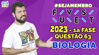 FUVEST 2023  Questão 63  A figura representa o ciclo da leishmania causadora da leishmaniose [upl. by Calore351]