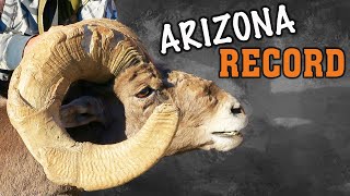 Bow hunting Bighorn Sheep  RECORD BOOK Ram [upl. by Atnoved]