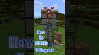 How To BREED Villagers Minecraft Bedrock 120 Survival Lets Play [upl. by Nepets]