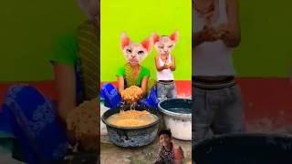 dhinka chika dhinka chika 🤪🤩🤩🤩🤣🤩🤩🤣 funny youtubeshorts trending cute cat pets comedy bhoot [upl. by Enoid]