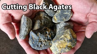 Cutting some Black Agates from New Zealand [upl. by Clifford]