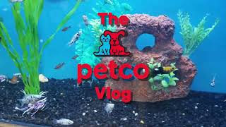 The Petco Vlog [upl. by Aay]