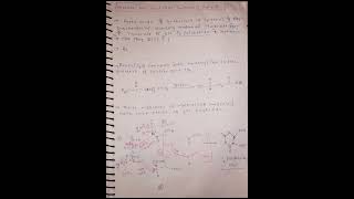 Biosynthesis of Flavonoids Acetate and Shikimic Acid Pathway for Biosynthesis of Flavonoidsshorts [upl. by Yenaj]