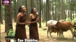 Arsi Oromo music [upl. by Eriha]