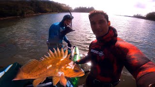 Spearfishing CATCH and COOK  Deep Fried Copper ROCKFISH Vancouver Island [upl. by Names420]