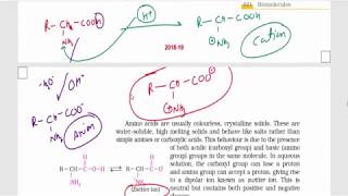 Biomolecules Part 4  Amino Acids Essential amp Non essential Amino acids  Class 12 NCERT [upl. by Hamo8]