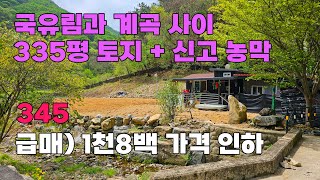 급매 국유림과 계곡 사이의 뛰어난 자연환경을 지닌 신고된 농막이 포함된 주말농장 토지 매매 충남 금산군 위치  백문부동산 문소장 [upl. by Tracey]