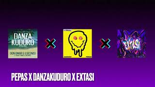 danzakuduro x pepas x extasi [upl. by Nirok]