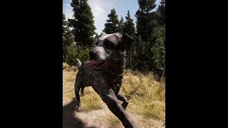 Blood Dragon amp Mans Best Friend fyp shortsfeed farcry5 [upl. by Atalante]