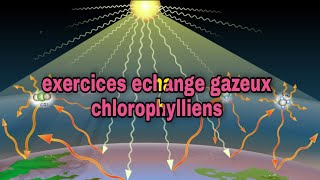 exercices dapplication de cours echanges gazeux chlorophylliens [upl. by Nirrek]