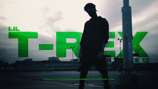 scarlxrd  LIL TREX  Edit  Lyrics [upl. by Nishom]