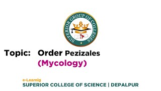 Order Pezizales  Mycology  by Ms Huma Naz  UrduHindi [upl. by Yesnel]