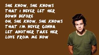 Steal My Girl  One Direction Lyrics [upl. by Nomal751]