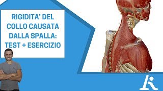 Rigidità al collo causata dalla spalla testesercizio [upl. by Nickolai]