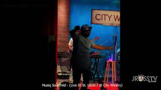 James Ross  Musiq Soulchild  quotLive In St Louisquot  wwwJrosstvcom St Louis [upl. by Irolam]