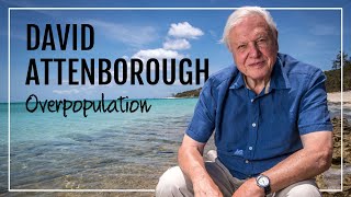 David Attenborough on Overpopulation [upl. by Race862]