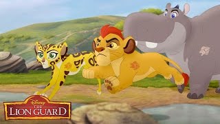 The Lion Guard Defends the Circle of Life  The Lion Guard  Disney Junior [upl. by Knitter744]