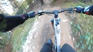 Easy Rider Trail in Paganella Bike Park [upl. by Buatti]