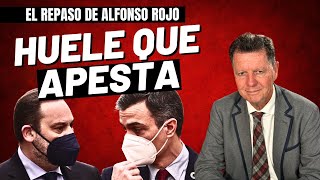 Alfonso Rojo “Aldama amarga el puente a Sánchez que anda en vilo a la espera de que cante Ábalos” [upl. by Soalokin]