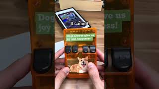 Best handheld Game Console r36s retrogaming console playstation crashbandicoot gameboy ps5 [upl. by Martha59]