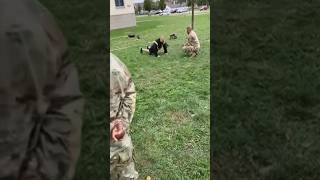 US Army Soldier Attempts The T Pushup During The ACFT [upl. by Nnaillij865]