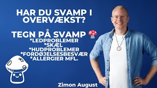 Har du Svamp i overvækst Tegn på svamp🍄 [upl. by Tallula]