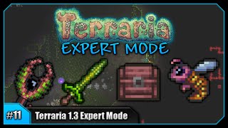 Lets Play Terraria 13 Expert Mode PC  Jungle Houses Galore amp Grass Blade Episode 11 [upl. by Enived701]