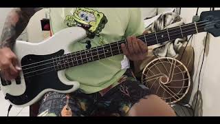 Millencolin  Penguins and Polar Bears Bass Cover [upl. by Etteval]